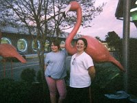 photos 2000-200901286